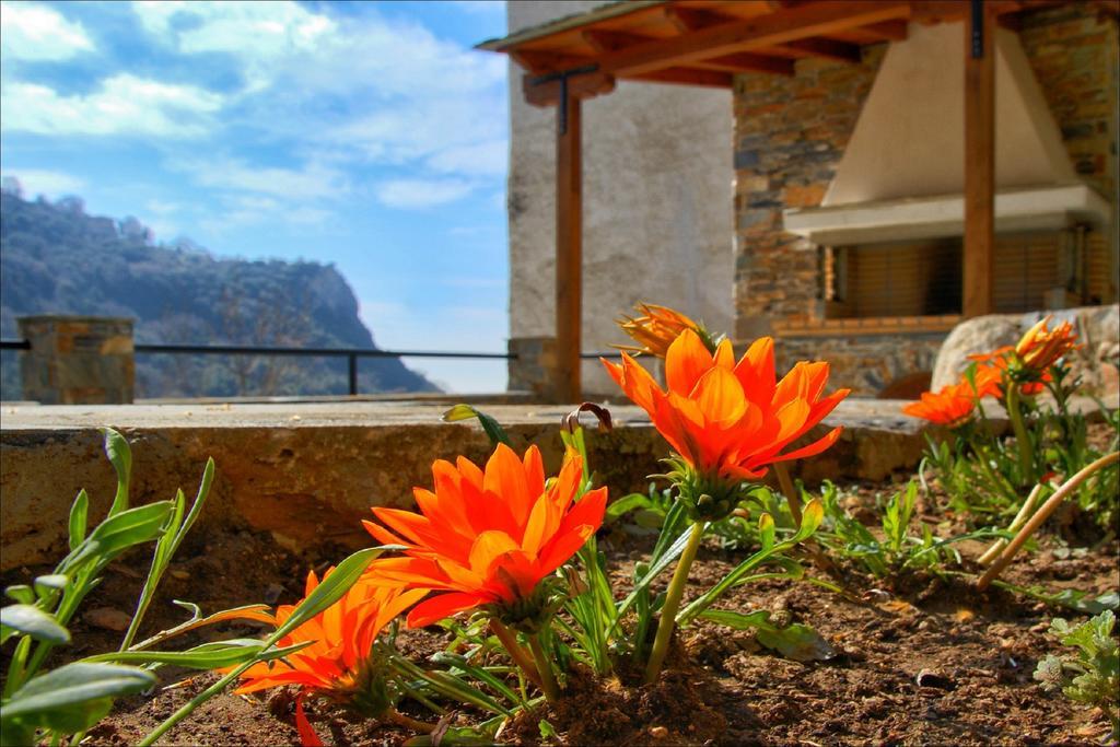 Volos View Residence Makrinítsa Exteriér fotografie